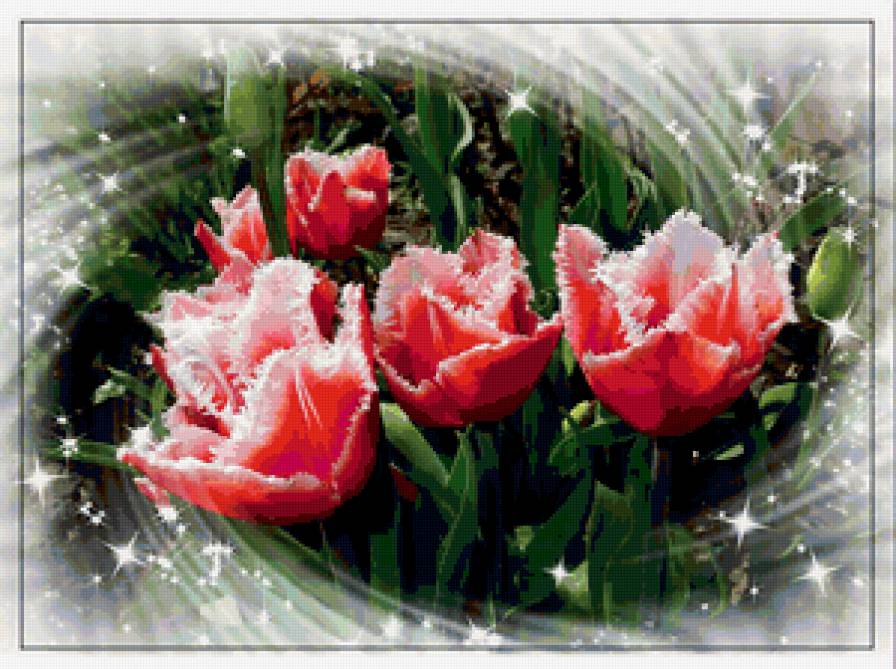 №392131 - предпросмотр