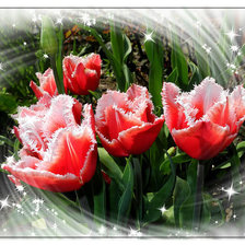 Схема вышивки «№392131»