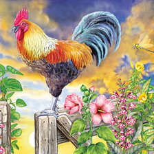 Схема вышивки «петушок-золотой гребешок»