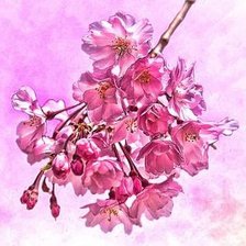 Схема вышивки «сакура»