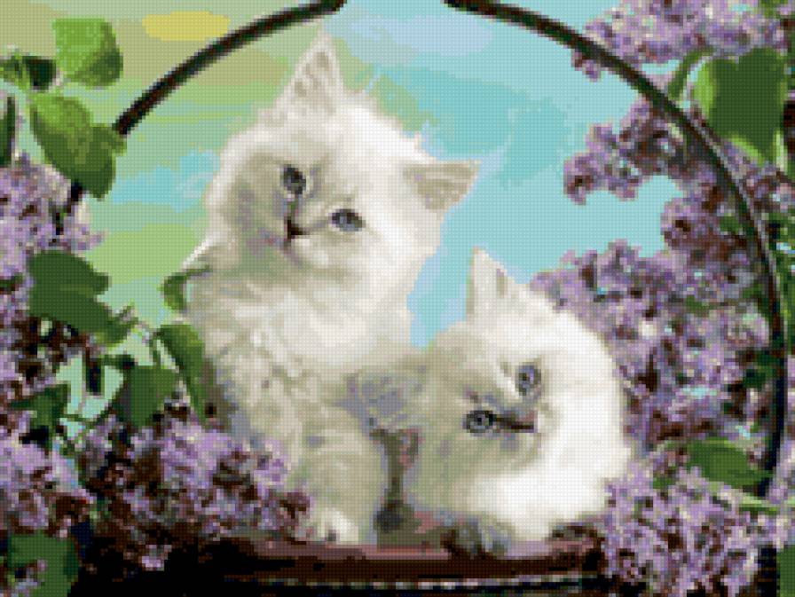 котята - котята, цветы, корзина - предпросмотр