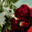 Предпросмотр схемы вышивки «маки красные» (№392329)