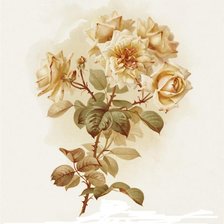 Схема вышивки «кремовое удовольствие»