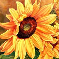 Схема вышивки «Подсолнух»