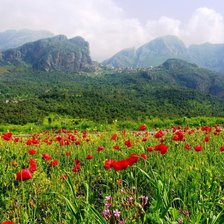 Схема вышивки «серия "пейзажы с цветами"»