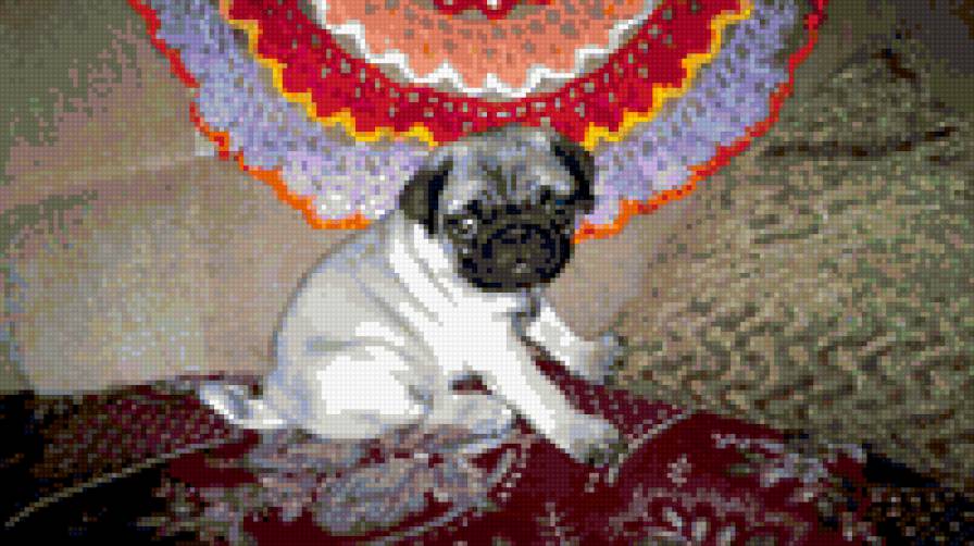 мопс Ватсон - предпросмотр