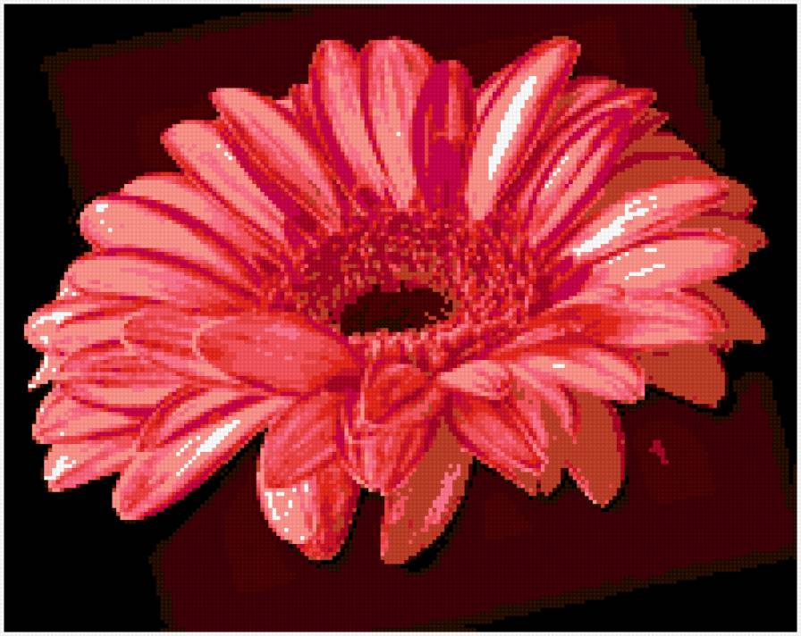 Гербера - цветы - предпросмотр