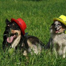 Схема вышивки «Мой зверинец»