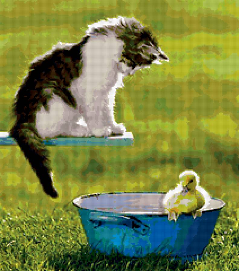 котик и утенок - кот, кошки, утенок, природа, животные - предпросмотр