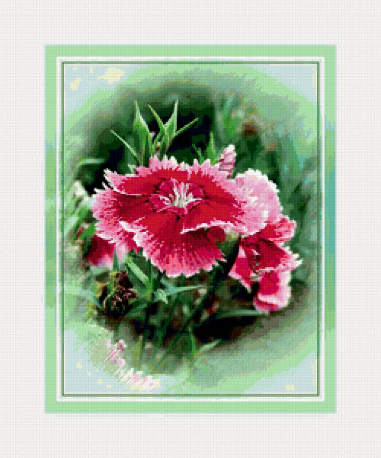 №393113 - цветы, гвоздика, подушка - предпросмотр