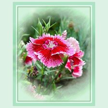 Схема вышивки «№393113»