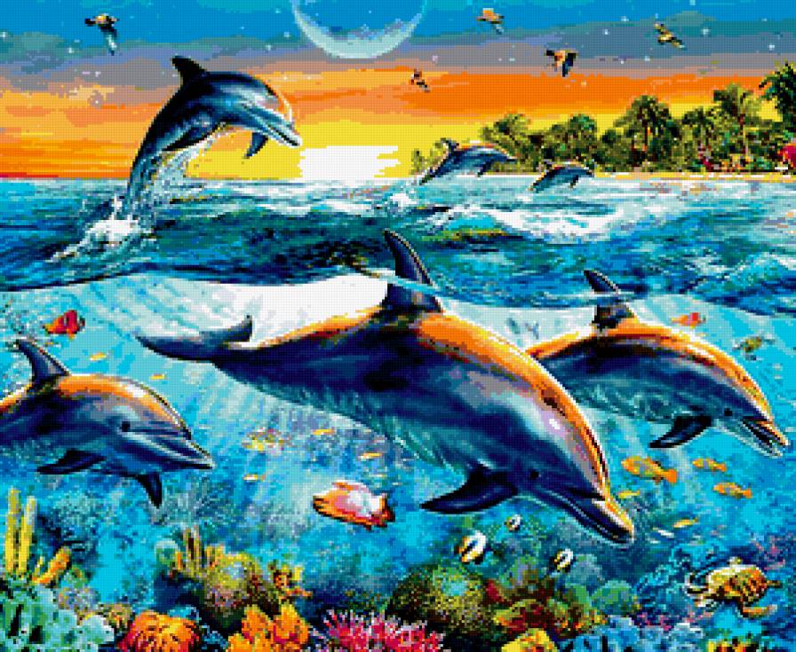 delfini - delfini, animals - предпросмотр