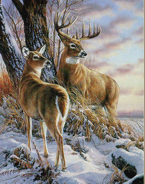 олени в зимнем лесу - оригинал