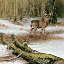 Схема вышивки «олень в лесу»