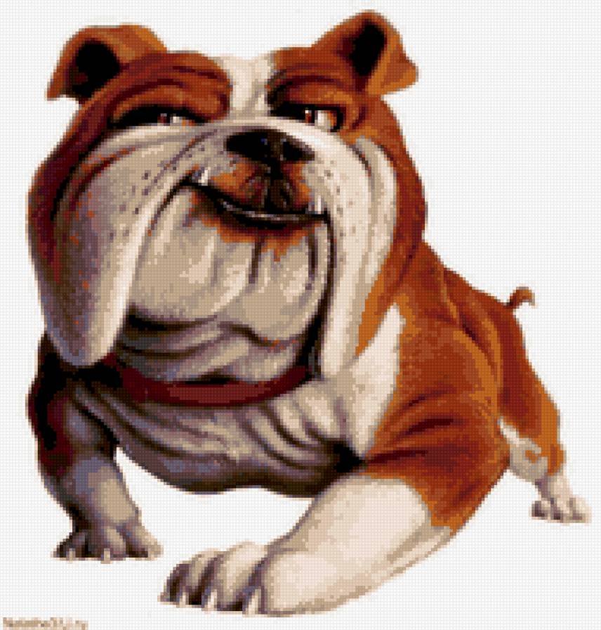 бульдог - предпросмотр