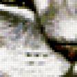 Предпросмотр схемы вышивки «мурка» (№393501)