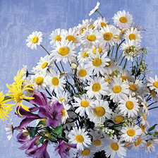 Схема вышивки «ромашки в вазе»