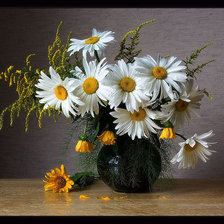 Схема вышивки «ромашки»