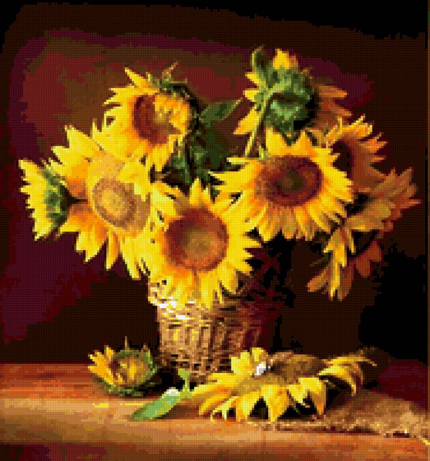 подсолнухи - цветы - предпросмотр