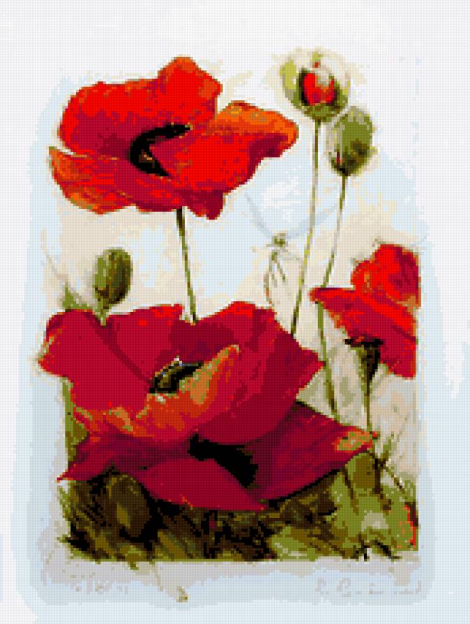 акварель - маки - предпросмотр