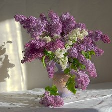 Схема вышивки «сирень»