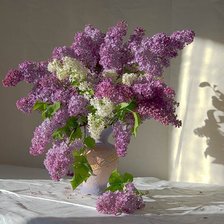 Схема вышивки «№393605»