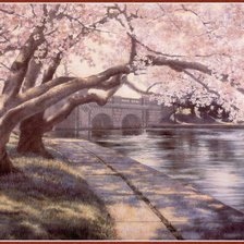 Схема вышивки «Сакура»