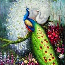 Схема вышивки «павлин»