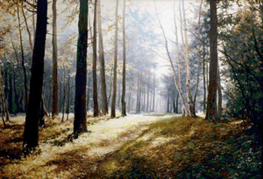 Солнечная опушка - природа, лес, пейзаж, поляна - предпросмотр