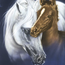 Схема вышивки «лошадки»