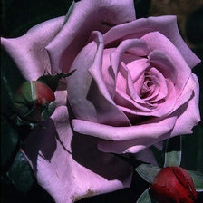 Схема вышивки «№393864»