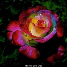 Схема вышивки «№393867»