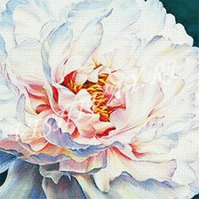 Схема вышивки «пион»