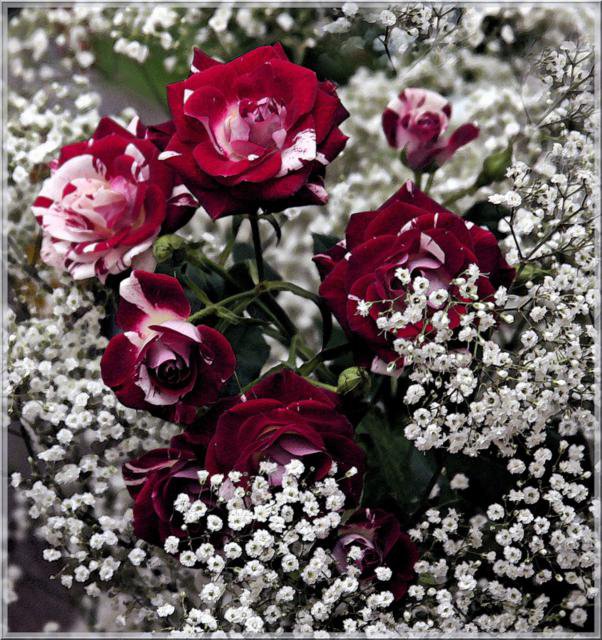 №393904 - оригинал