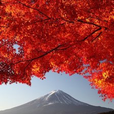 Схема вышивки «Осень в горах»