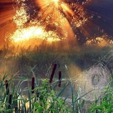 Схема вышивки «Летнее утро»