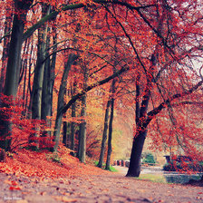 Схема вышивки «природа»