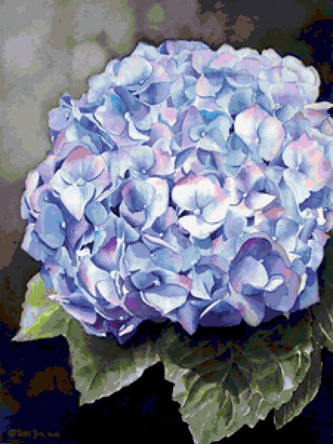 Серия "Букет" - цветы, гортензии, букет - предпросмотр