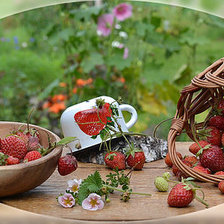 Схема вышивки «урожай»