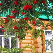 Схема вышивки «Домик»