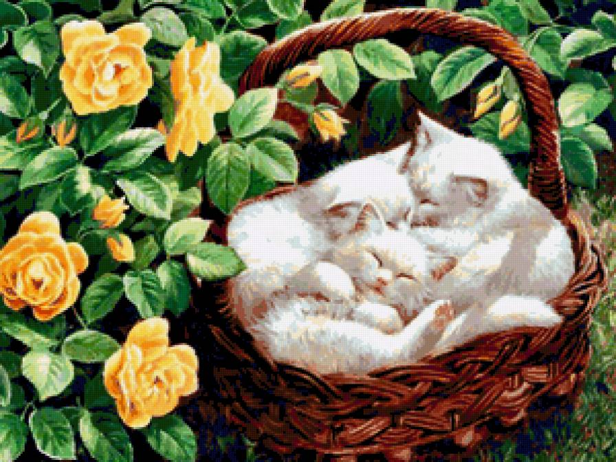 кошка - животное - предпросмотр