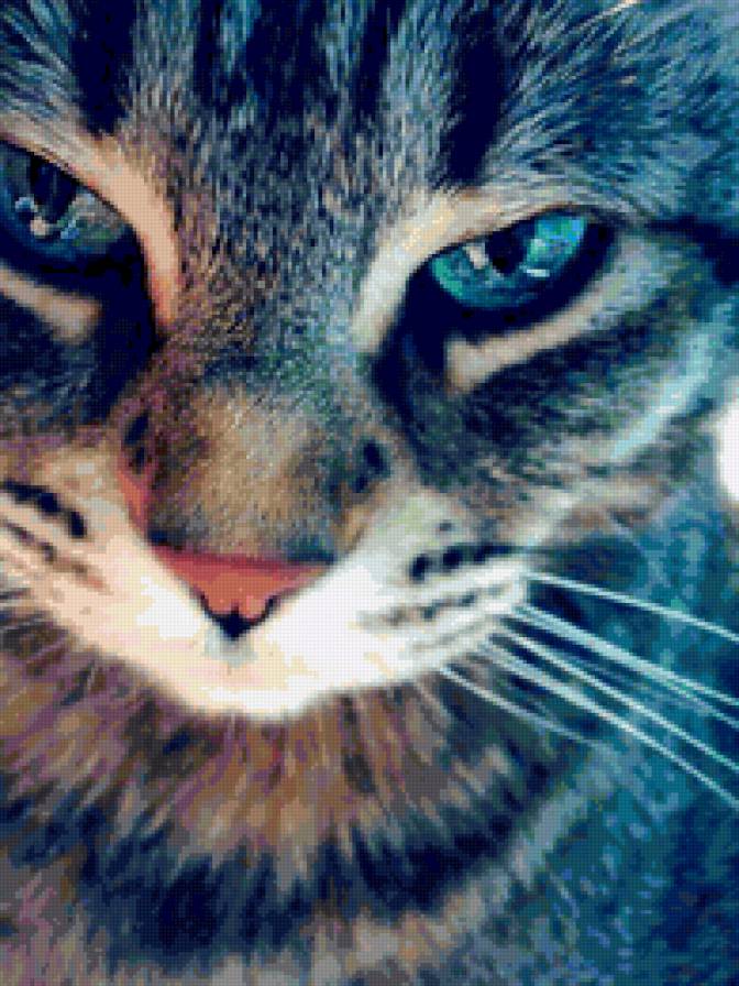 кошка - животное - предпросмотр