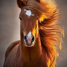 Схема вышивки «конь»