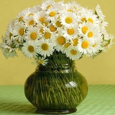 Схема вышивки «ромашки»