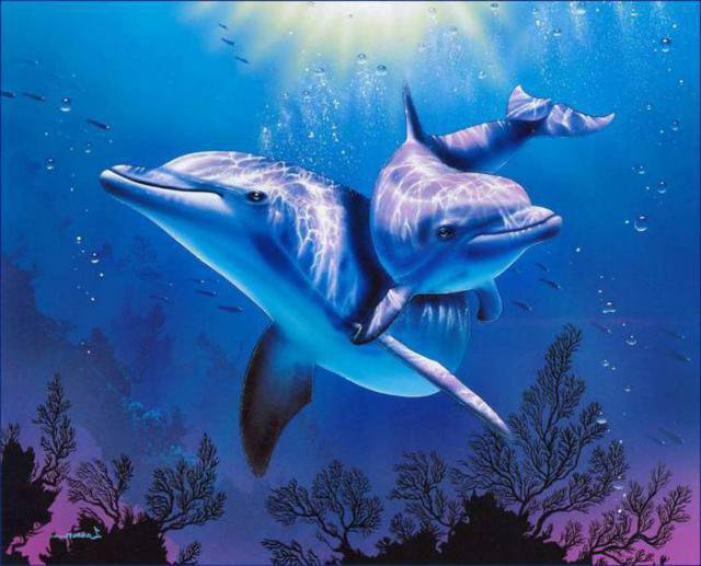 Дельфины - дельфин, море, океан - оригинал