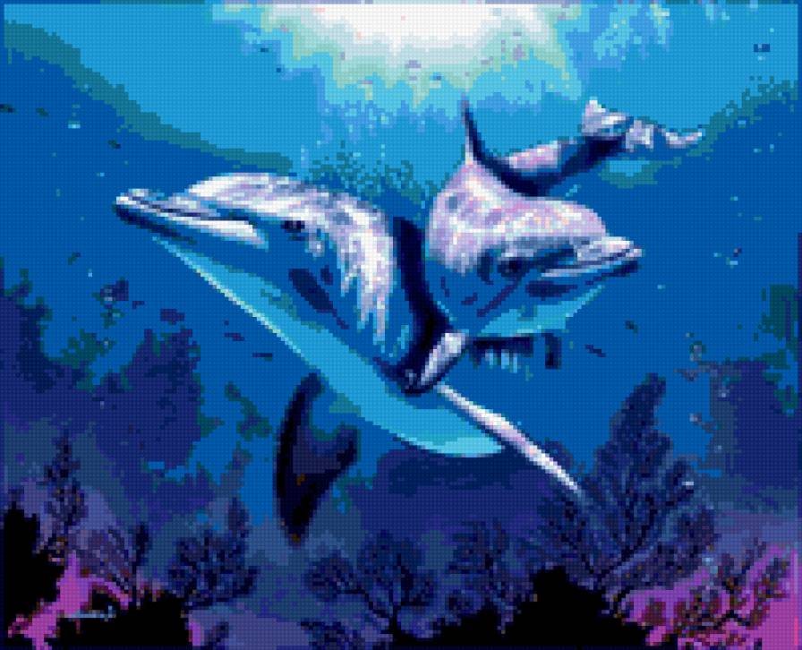 Дельфины - океан, море, дельфин - предпросмотр