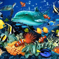 Схема вышивки «delfini»