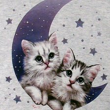 Схема вышивки «Котята»