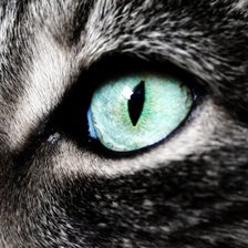 Схема вышивки «взгляд»