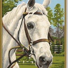 белая лошадь